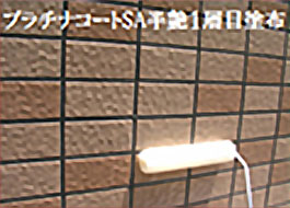 プラチナコートUT又はSA 1層目塗布(0.1kg/㎡)